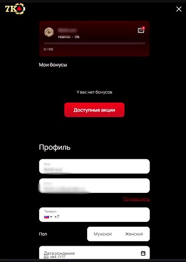 Применение промокода